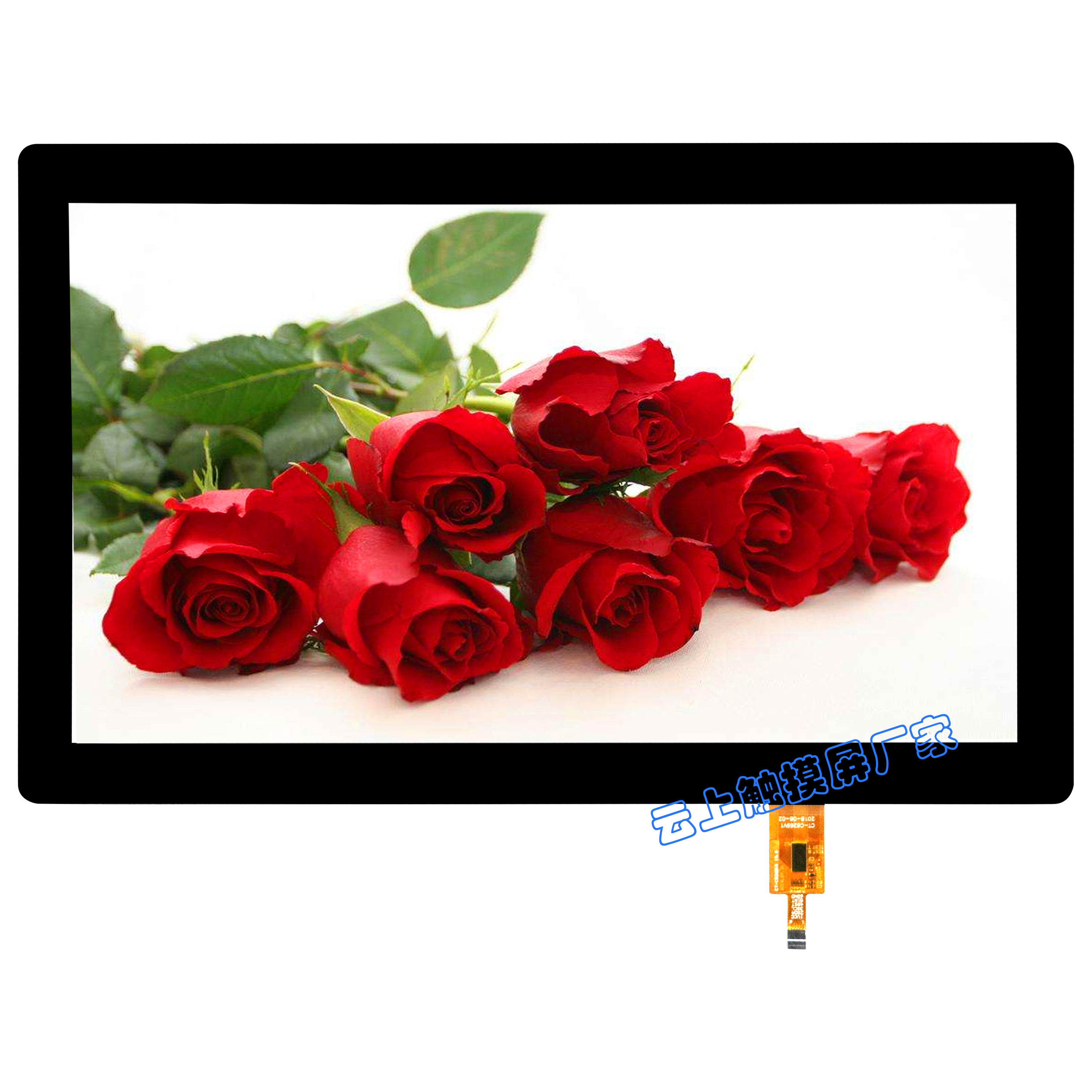 mg不朽情缘(中国区)官方网站