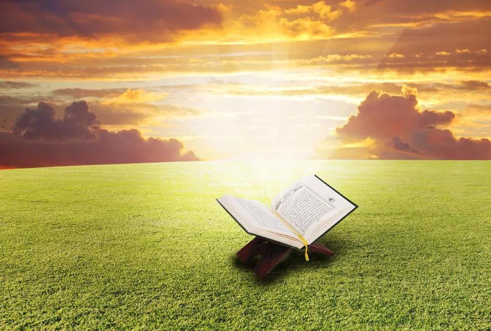 mg不朽情缘(中国区)官方网站