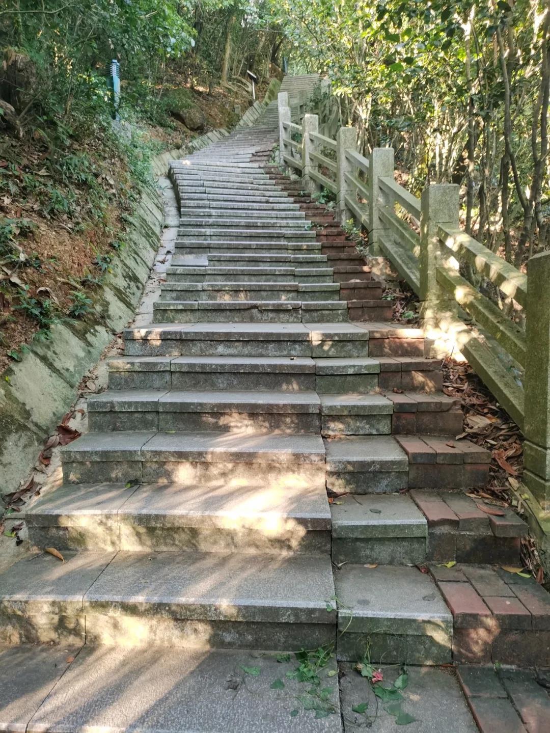 mg不朽情缘(中国区)官方网站